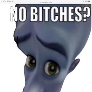 Meet your Posher, Beau